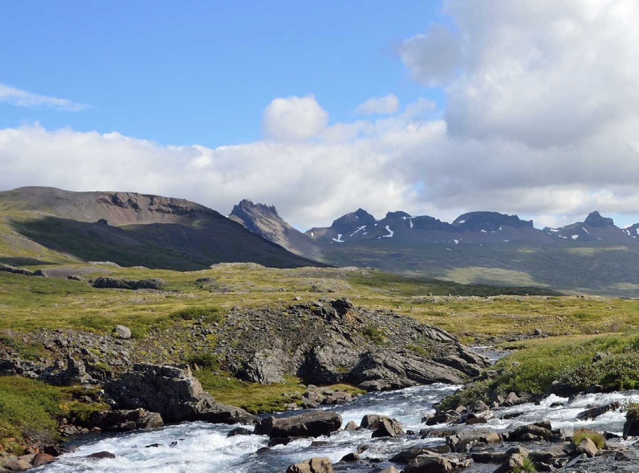 conservation header.png