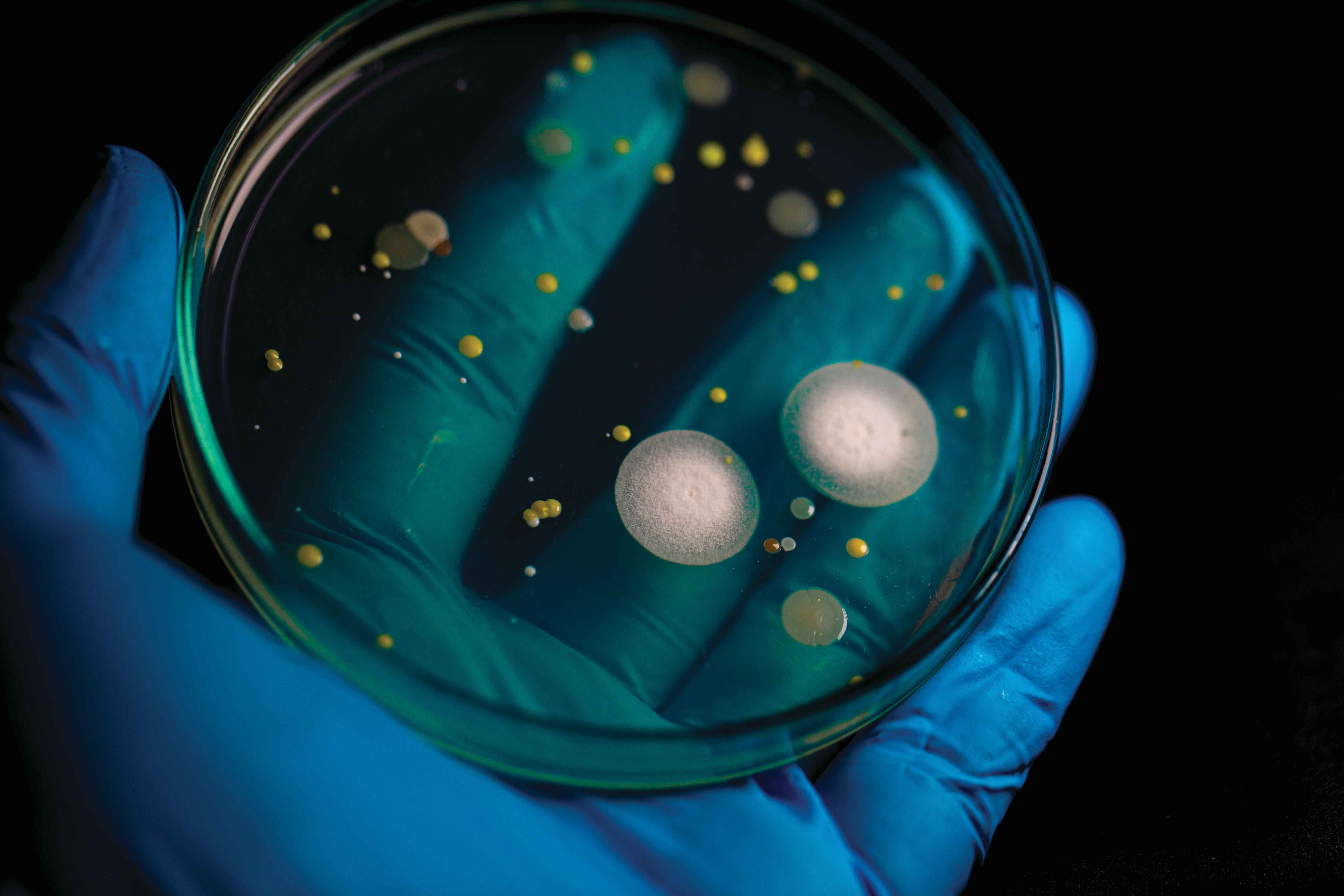 Foundation of modern medicine is under threat