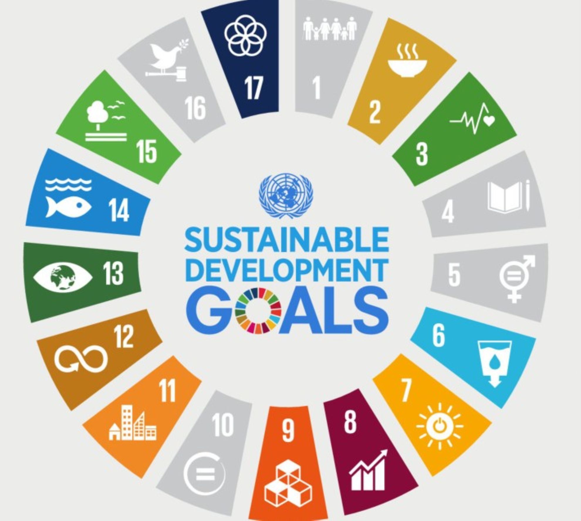 Sustainable development goals webjpg.jpg