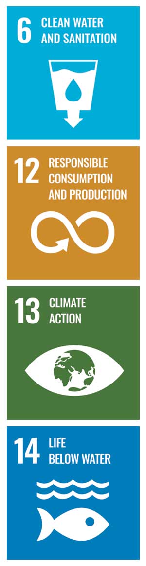 sdgs.jpg